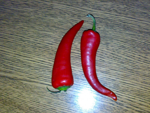 Chilli #Chilli #chili