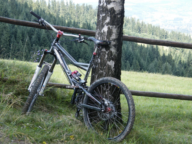 mongoł