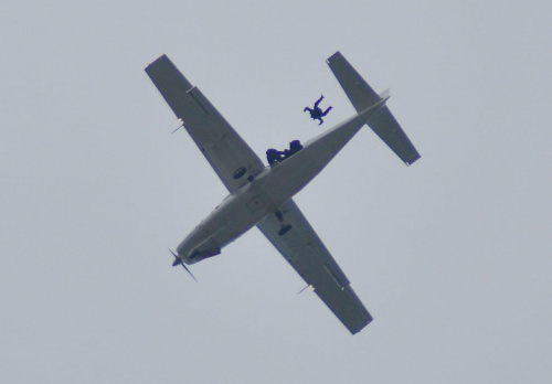 #RAFFalcons